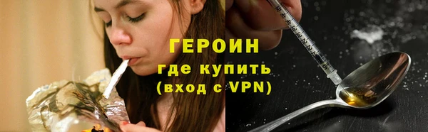 сатива Арсеньев