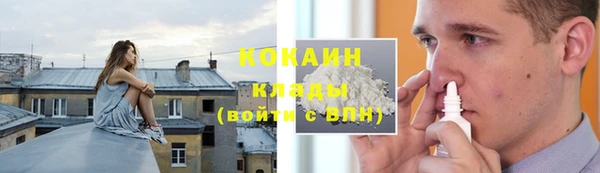 сатива Арсеньев