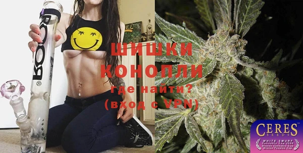 сатива Арсеньев