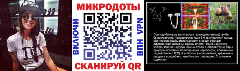 дарнет шоп  Сегежа  Галлюциногенные грибы мицелий 